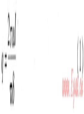 真空管太陽(yáng)能集熱系統(tǒng)溫度場(chǎng)、速度場(chǎng)模擬