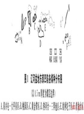 裂陷盆地巖漿活動(dòng)對(duì)煤層氣的富集作用——以遼河、阜新盆地為例