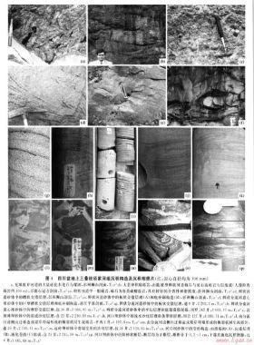 四川類(lèi)前陸盆地上三疊統(tǒng)須家河組沉積體系