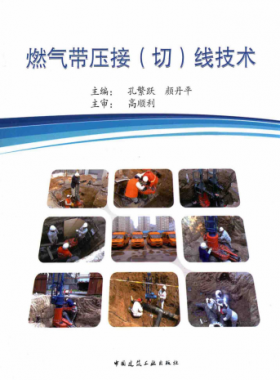 燃?xì)鈳航樱ㄇ校┚€技術(shù)