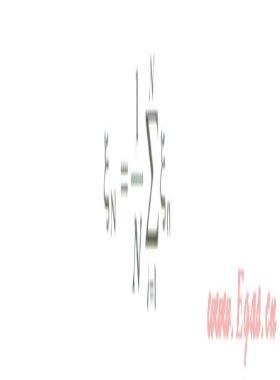 基于蒙特卡洛模擬的IT項目進度風險量化評估方法研究