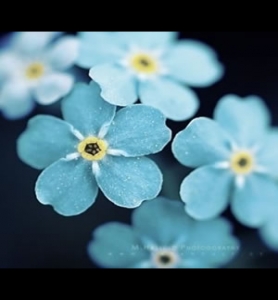 《無線遠傳膜式燃氣表》城建/T503-2016全文